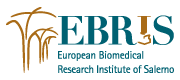 www.ebris.eu Logo