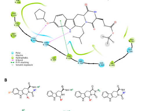 In Silico Identification and In Vitro Evaluation of New ABCG2 Transporter Inhibitors as Potential Anticancer Agents