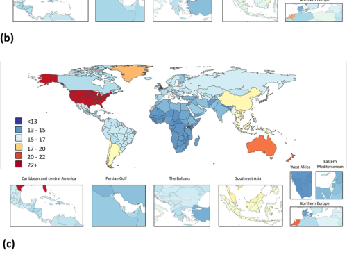 Incidence, prevalence, and global burden of schizophrenia – data, with critical appraisal, from the Global Burden of Disease (GBD) 2019